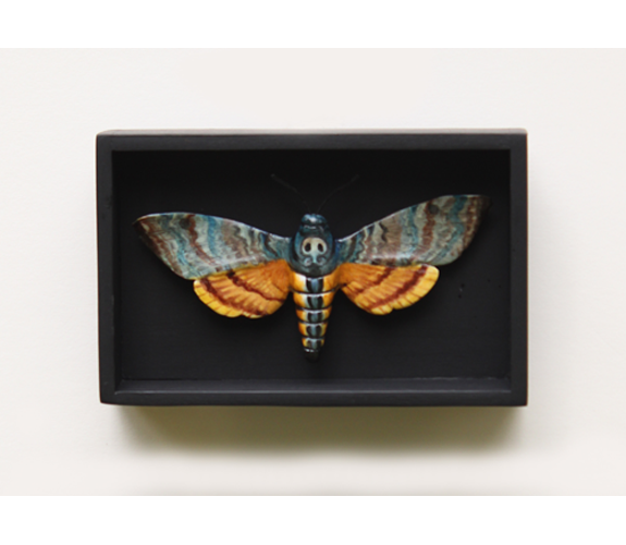 "Death Head Moth #1" - Loralin Toney